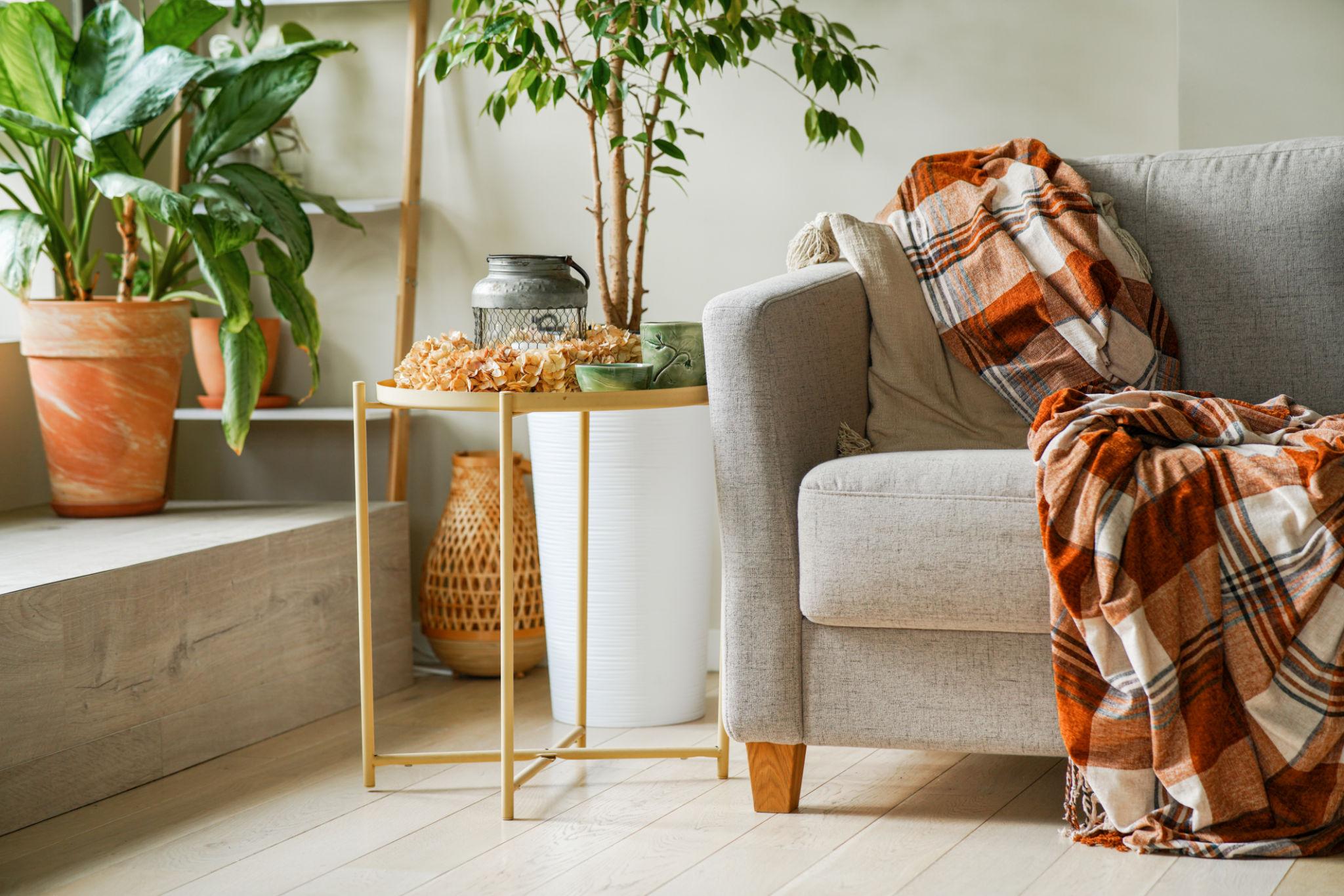 Menciptakan Sudut Favorit di Rumah dengan Sentuhan Lembut